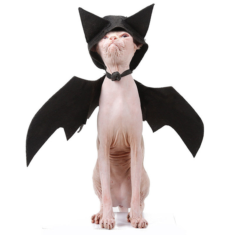 Halloween Pet Bat Wings Costume