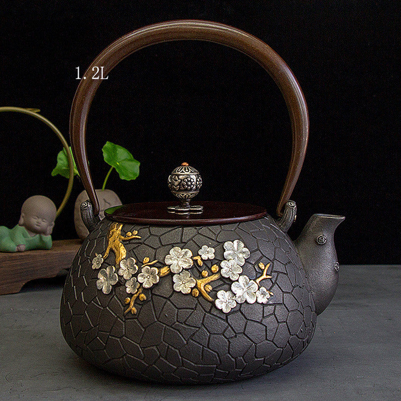 Japanese Handmade Iron Teapot Kettle Set