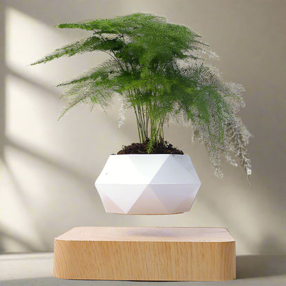 Magnetic Floating Bonsai Floating Plant Rack, Fashion Creative Gifts, Christmas Or Birthday Gifts