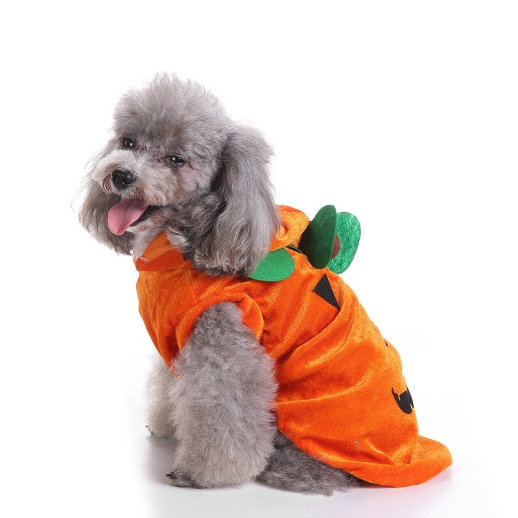 Halloween Pet Costumes