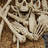 Halloween Skeleton Bones Set