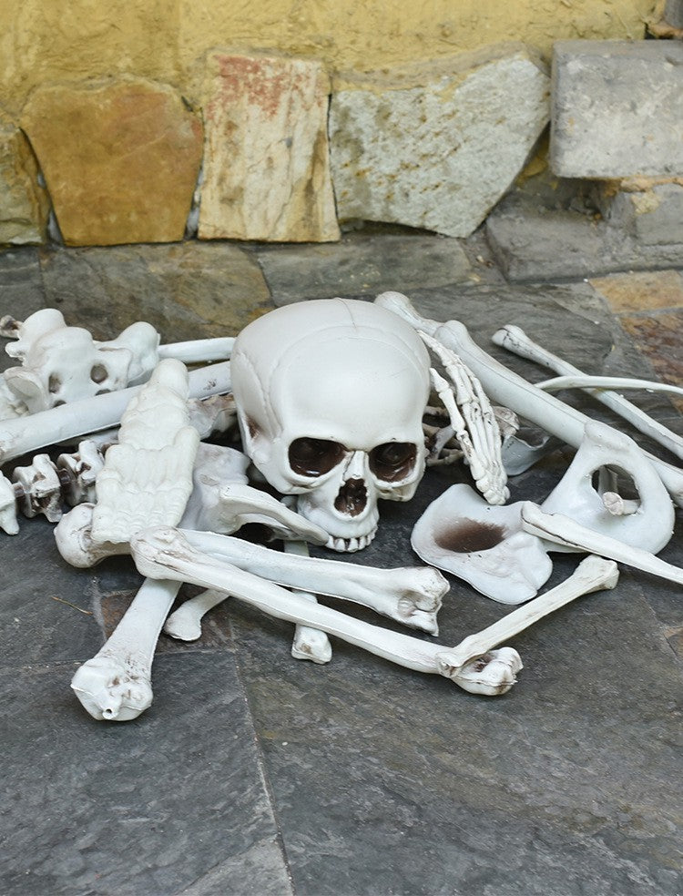 Halloween Skeleton Bones Set