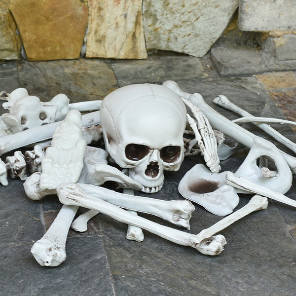 Halloween Skeleton Bones Set