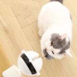 Smart Electric Lifting Cat Teaser Ball