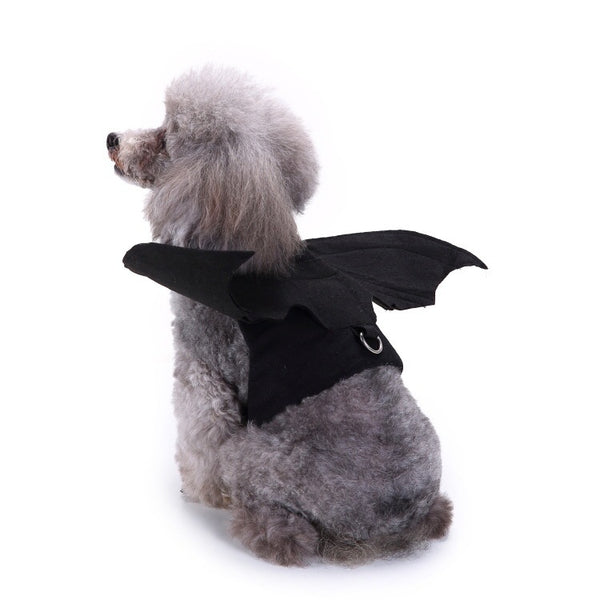 Halloween Pet Costumes