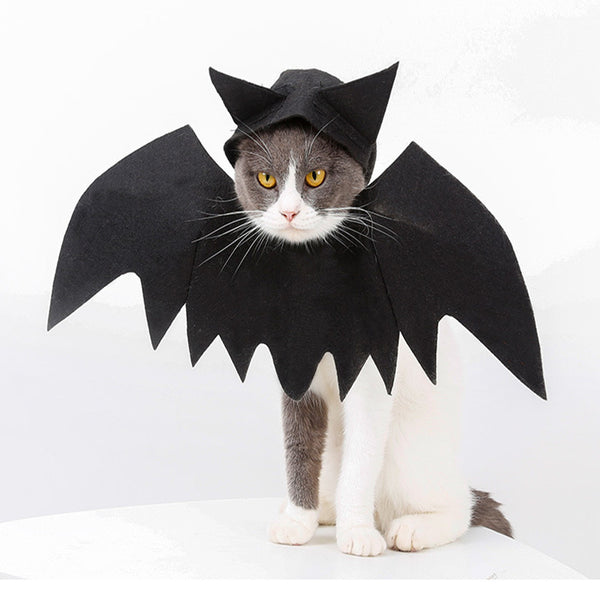 Halloween Pet Bat Wings Costume