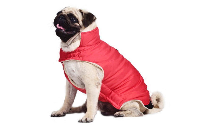 Cotton coat vest dog clothes - JDrop.Shop