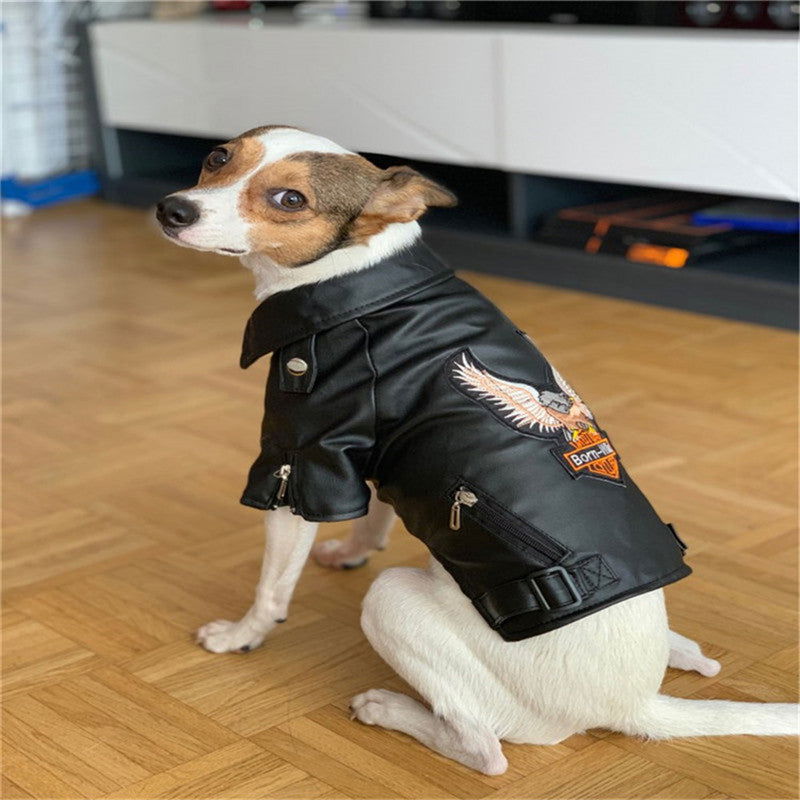 Dog Leather Jacket Pet Supplies - JDrop.Shop