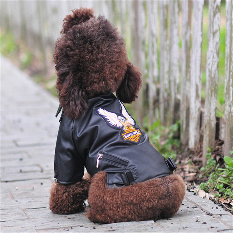 Dog Leather Jacket Pet Supplies - JDrop.Shop