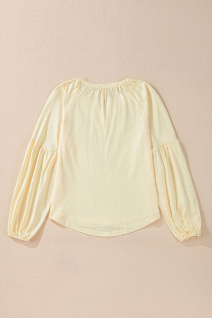 Embroidered Notched Long Sleeve Blouse - JDrop.Shop