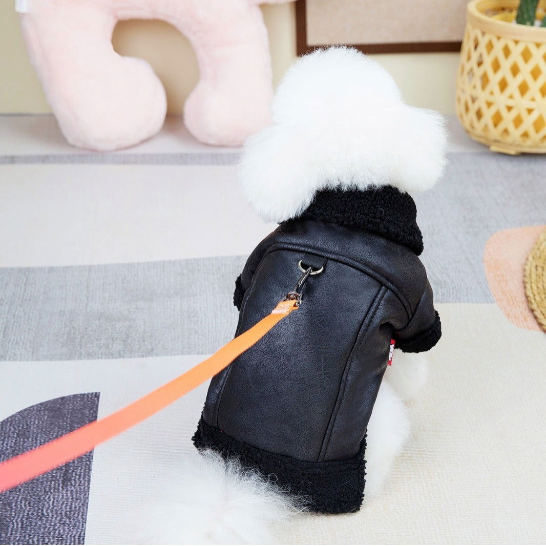 Fashion Dog Coat Pet Supplies - JDrop.Shop