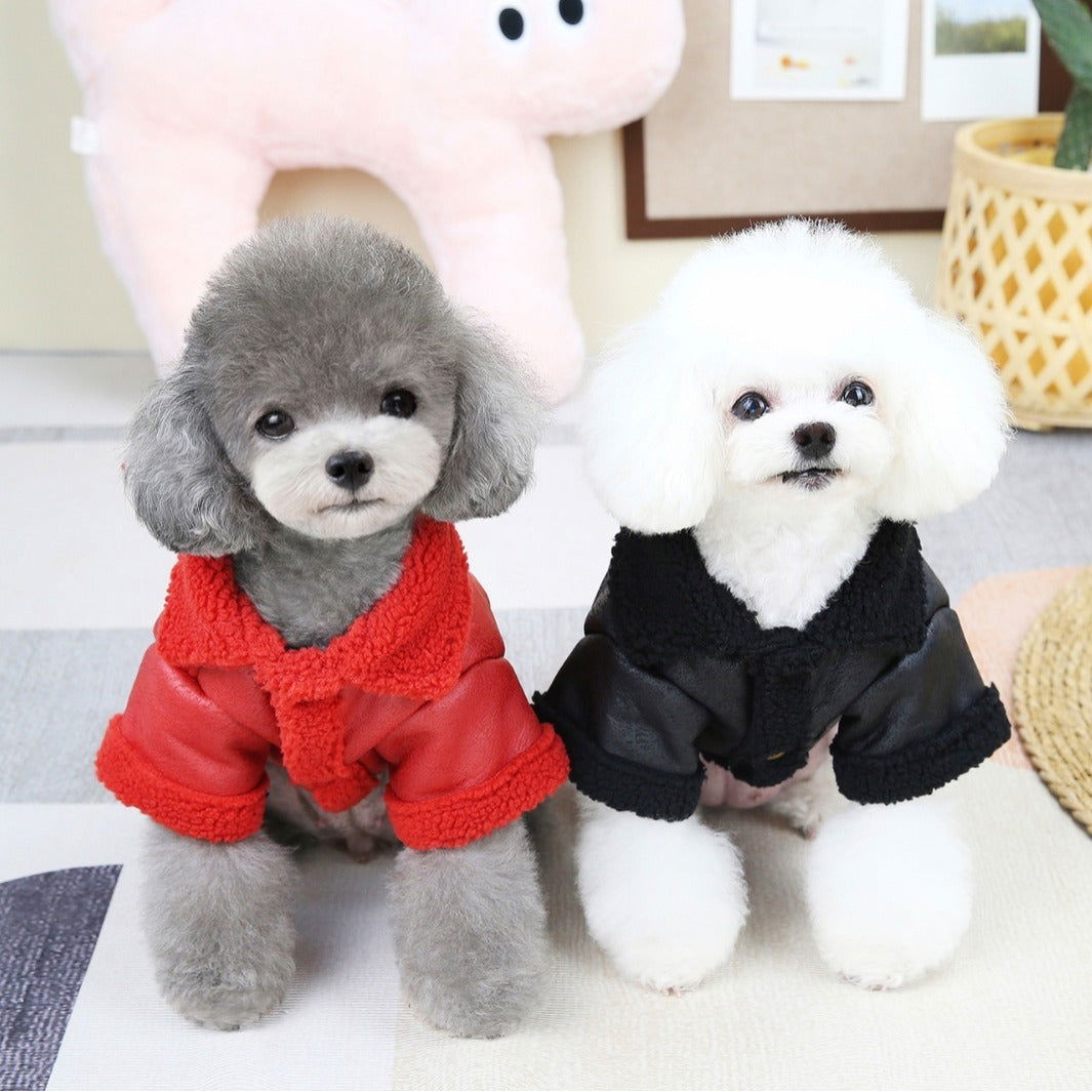 Fashion Dog Coat Pet Supplies - JDrop.Shop