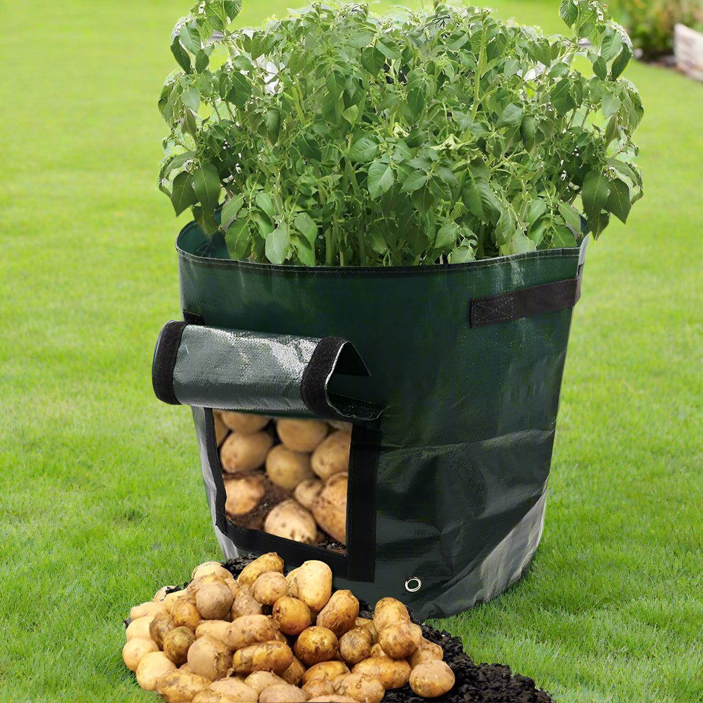 Garden Planting Potato Bag - JDrop.Shop