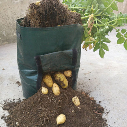 Garden Planting Potato Bag - JDrop.Shop