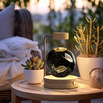 Crystal Ball Indoor Night Light USB Power