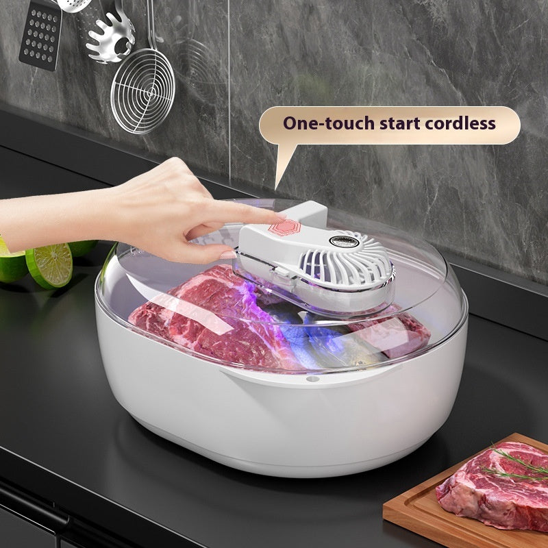 Household Quick Defrosting Plate Food Defrosting Device