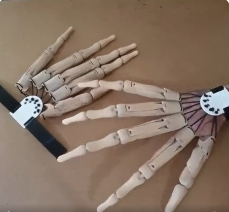 Halloween Articulated Fingers Prop