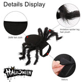 Halloween Spider Costume for Pets