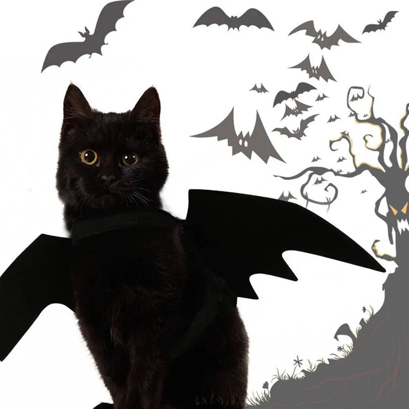 Halloween Small Pet Cat Bat Wings