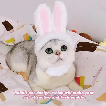 Bunny Rabbit Costume For Cat And Small Dogs